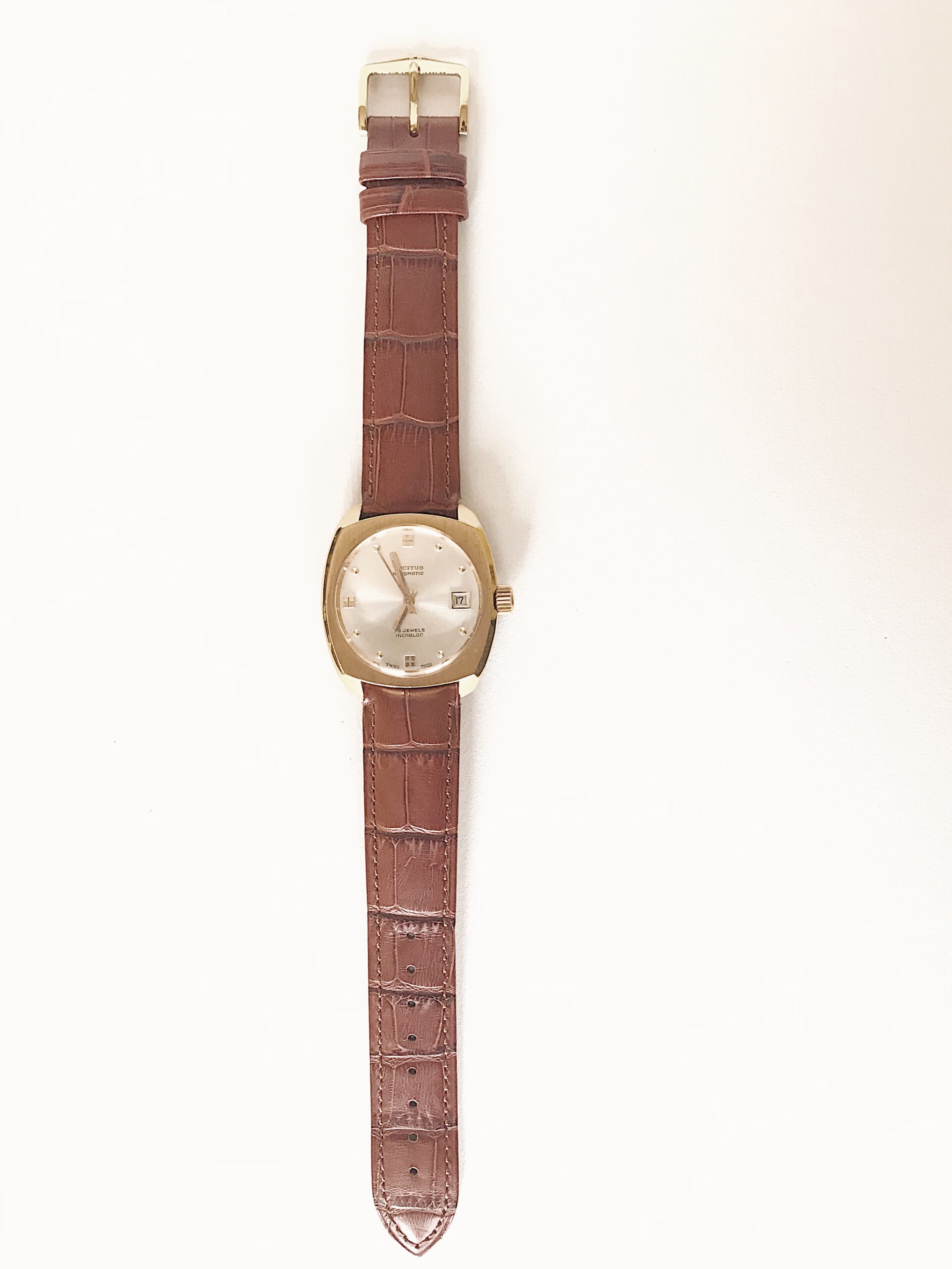 Processed with VSCO with dog1 preset